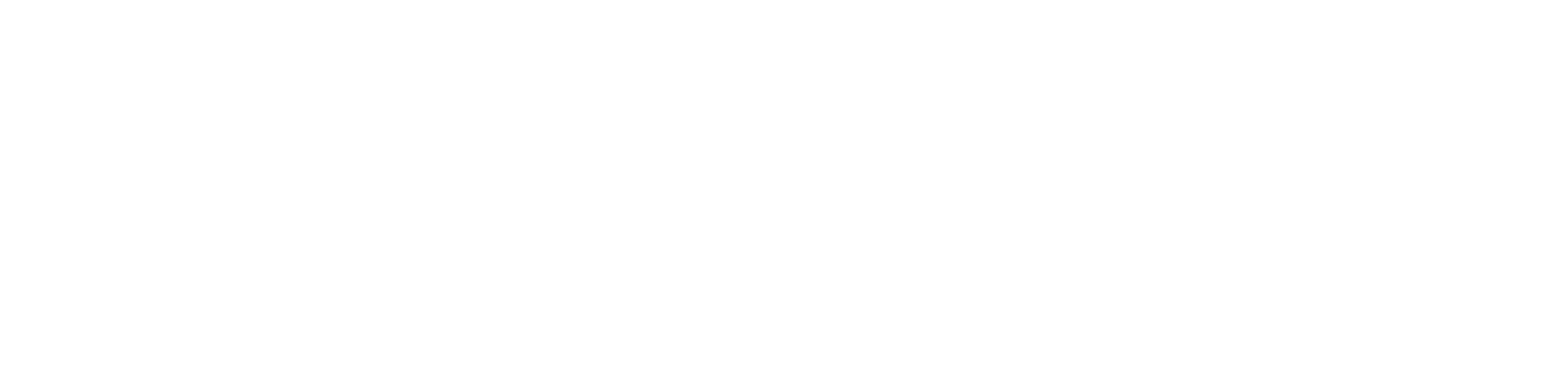 Dense Tensor